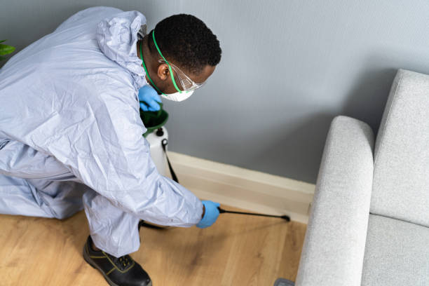 Best Residential Pest Control  in Big Coppitt Key, FL